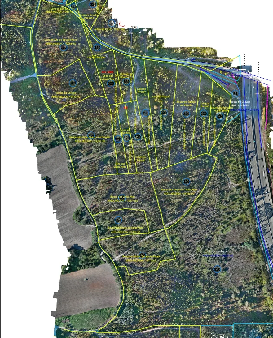 Levantamento Cadastral Geométrico